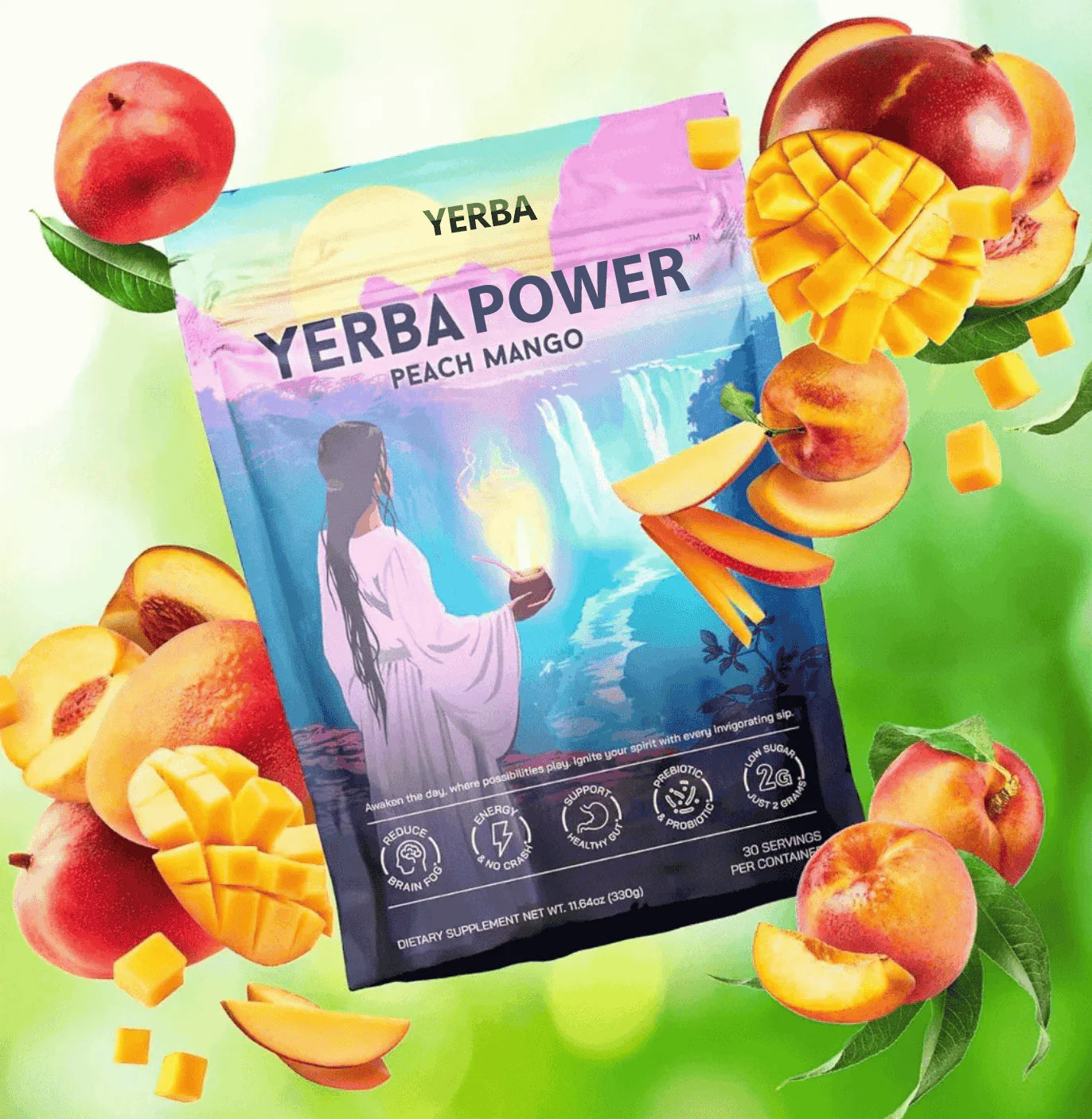 Yerba Mate - Instant Yerba Mate Tea Powder by Yerba Power