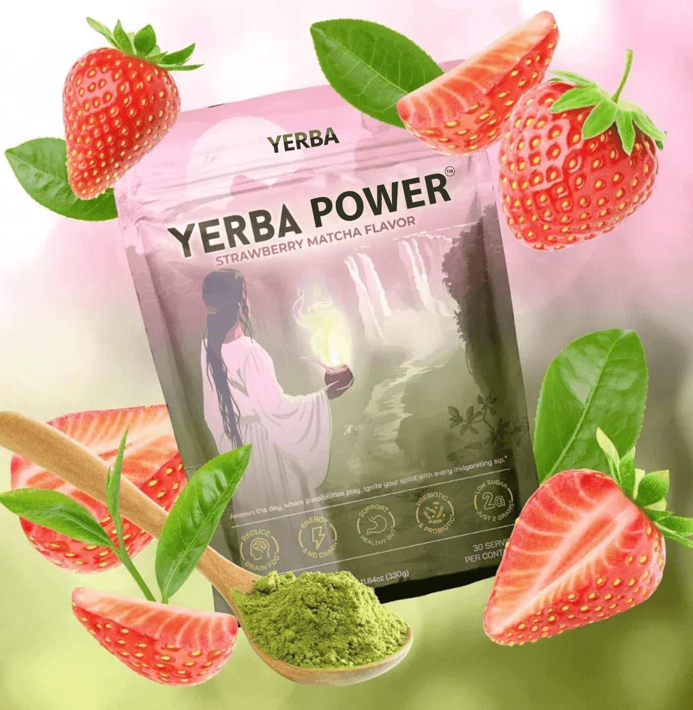 Yerba Mate - Instant Yerba Mate Tea Powder by Yerba Power